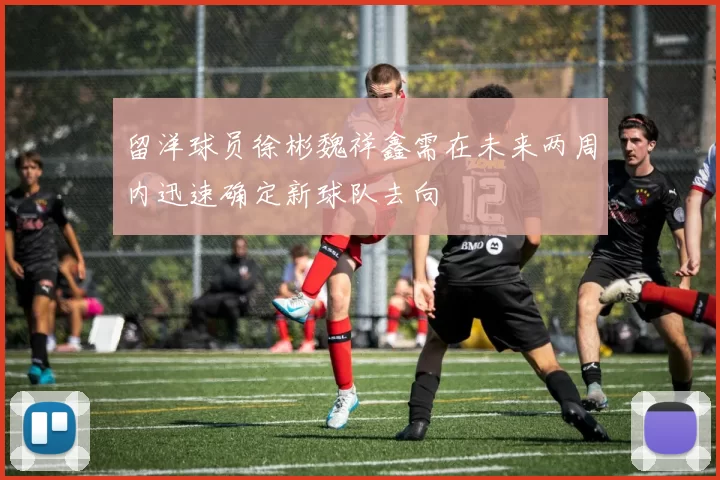 留洋球员徐彬魏祥鑫需在未来两周内迅速确定新球队去向